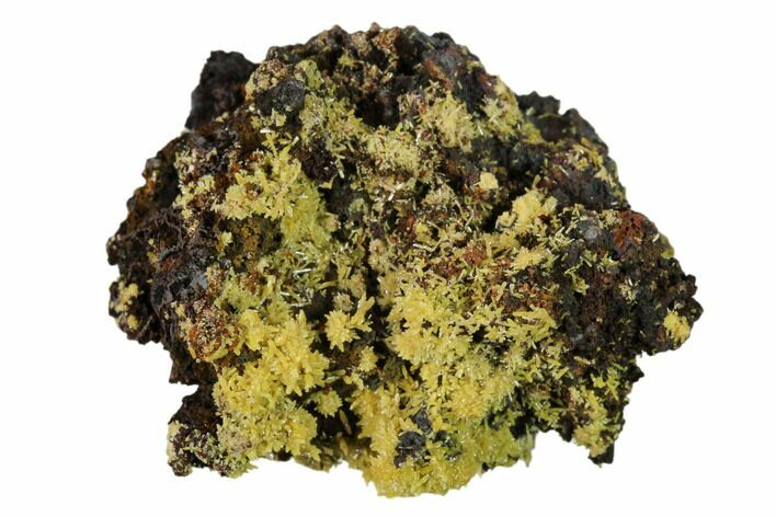 Mimetite Crystal Clusters on Limonitic Matrix - Mexico #157109